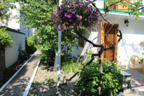 Guest house on Grinchienko